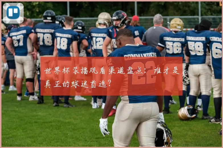世界杯录播观看渠道盘点：谁才是真正的球迷首选？