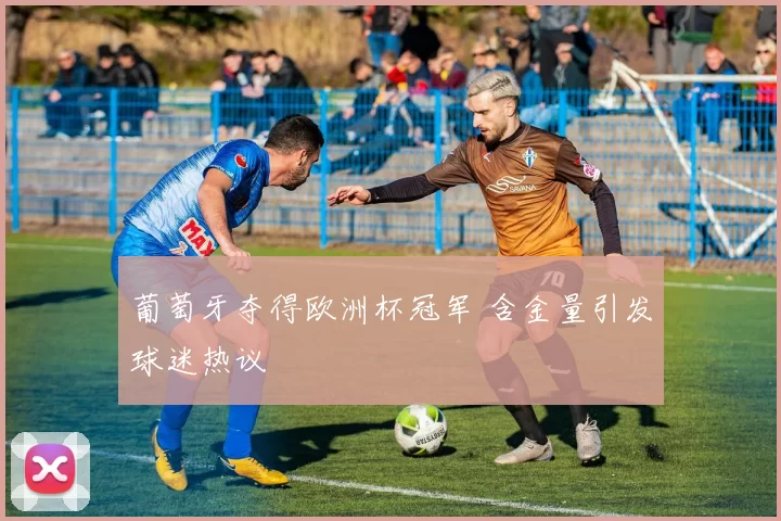 葡萄牙夺得欧洲杯冠军 含金量引发球迷热议