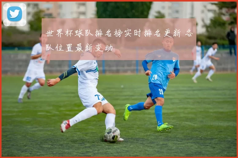 世界杯球队排名榜实时排名更新 各队位置最新变动