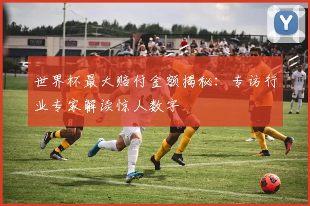 世界杯最大赔付金额揭秘:专访行业专家解读惊人数字