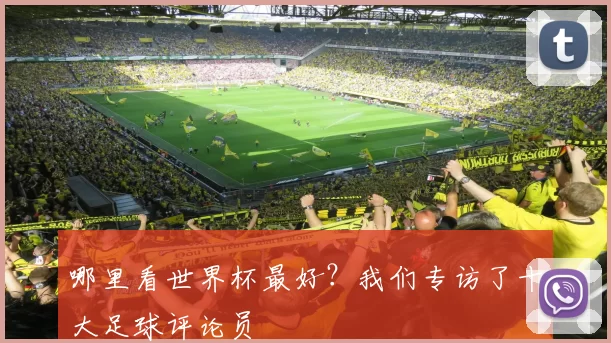 哪里看世界杯最好？我们专访了十大足球评论员