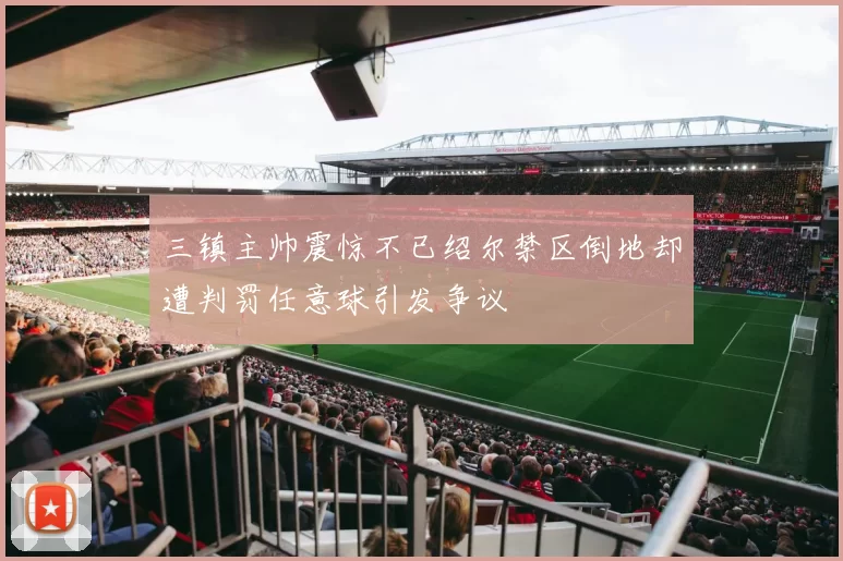 三镇主帅震惊不已绍尔禁区倒地却遭判罚任意球引发争议