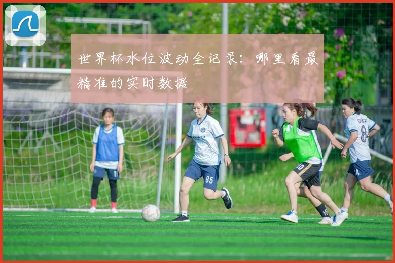 世界杯水位波动全记录：哪里看最精准的实时数据