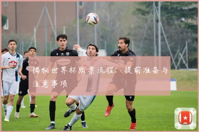 揭秘世界杯购票流程:提前准备与注意事项
