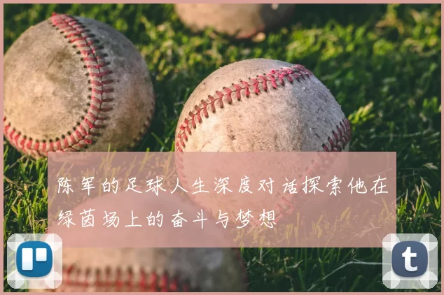 陈军的足球人生深度对话探索他在绿茵场上的奋斗与梦想