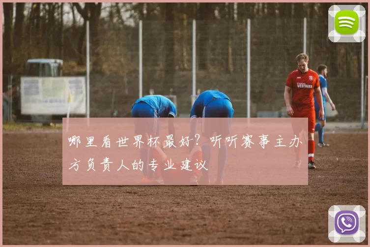 哪里看世界杯最好？听听赛事主办方负责人的专业建议