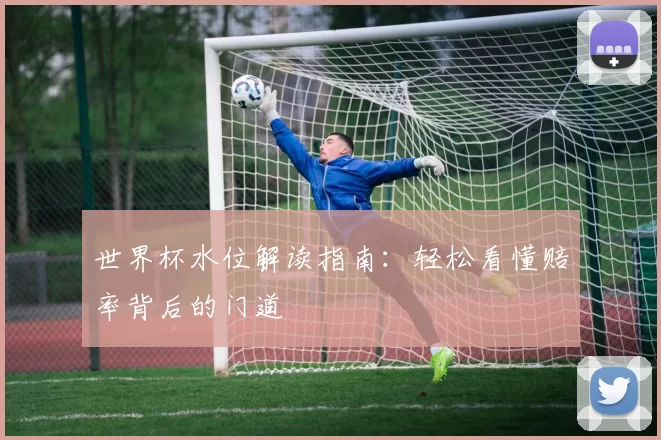世界杯水位解读指南：轻松看懂赔率背后的门道