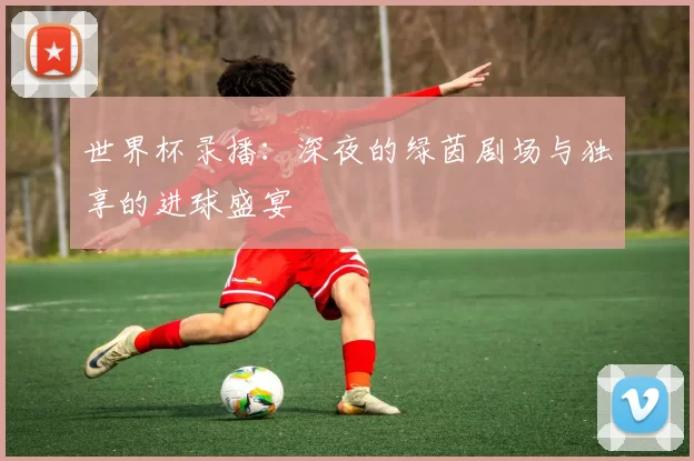 世界杯录播：深夜的绿茵剧场与独享的进球盛宴