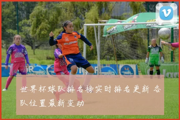 世界杯球队排名榜实时排名更新 各队位置最新变动