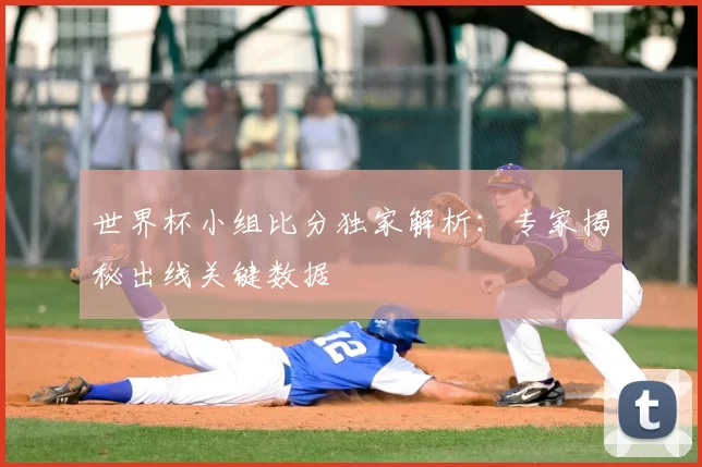 世界杯小组比分独家解析：专家揭秘出线关键数据