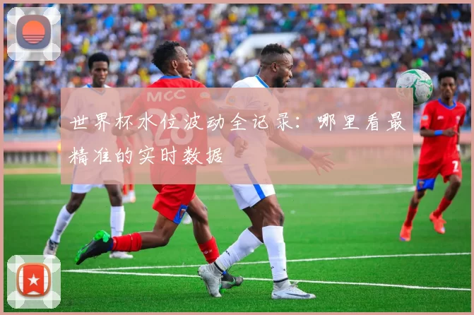 世界杯水位波动全记录：哪里看最精准的实时数据