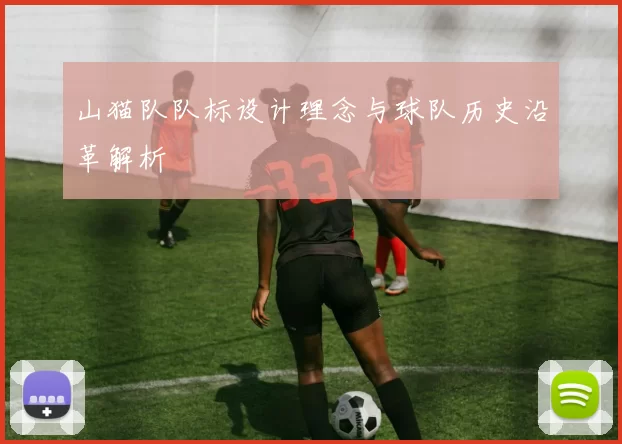山猫队队标设计理念与球队历史沿革解析